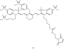 IRDye 800CW Maleimide