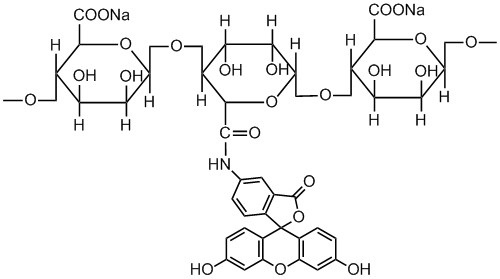 FITC-Alginate