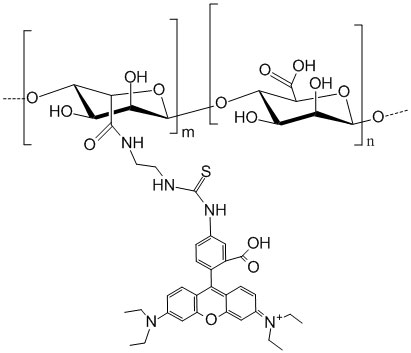 Rhodamine-Alginate