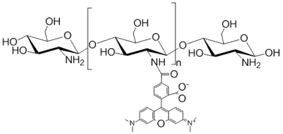 红色荧光素标记壳聚糖