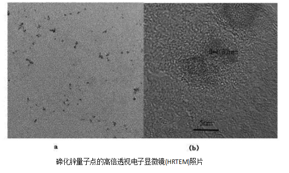 蛋白质核糖核酸酶修饰的碲化锌量子点