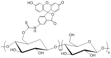 绿色荧光标记葡聚糖