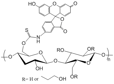 绿色荧光素标记纤维素