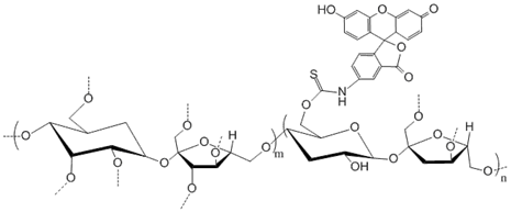 绿色荧光素标记聚蔗糖