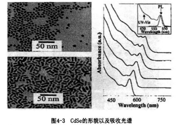 CdSe近红外二区量子点修饰甘草酸