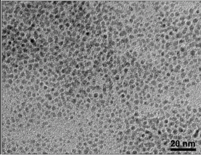 QDs-c(RGDyk)-Lip