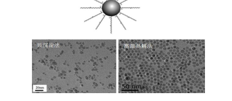 油酸修饰的四氧化三铁磁性纳米颗粒