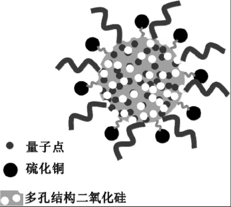 SiO2-NH2/CuInS2-IBU