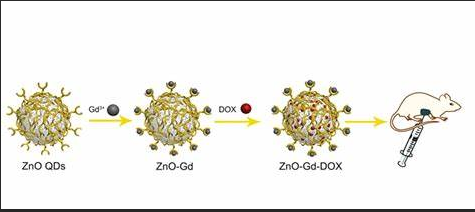 掺杂钆（Gd）的氧化锌量子点偶联阿霉素