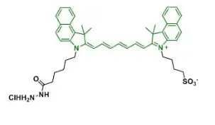 ICG-Vinylsulfone