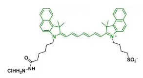 ICG hydrazide