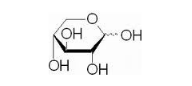 荧光标记木糖Xylose