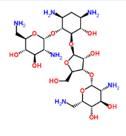 Cy3荧光标记新霉素