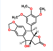 FITC荧光标记苦鬼臼毒素