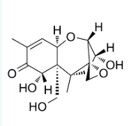 FITC荧光标记呕吐毒素