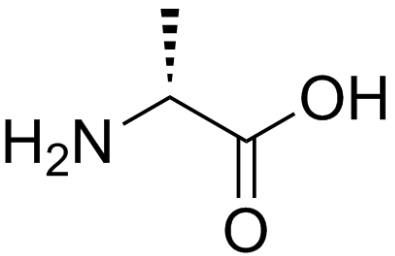  D–丙氨酸