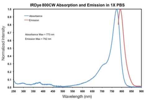 IRDye 800CW Maleimide