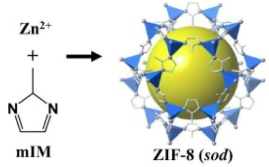 ZIF-8负载乳酸氧化酶(LOD)和四氧化三铁(Fe304)