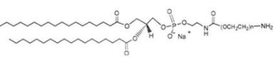 CLS-PEG-Amine