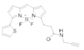 荧光染料BDP 558/568 alkyne，炔基修饰的荧光染料激发波长是多少？