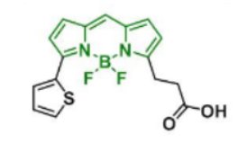 荧光染料BDP 558/568 COOH，CAS:150173-72-1的参数及结构式