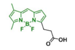 荧光染料BDP FL COOH  CAS:165599-63-3的参数及结构式