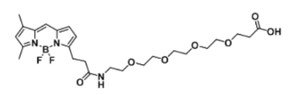 荧光染料BODIPY FL-PEG4-COOH/carboxylic acid/羧基羧酸的产品参数及相关产品介绍