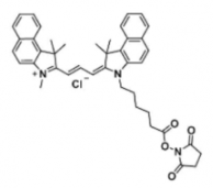 荧光染料Cyanine3.5 NHS ester/琥珀酰亚胺活化酯(Methyl)  CAS:2231670-85-0，脂性Cy3.5 活性酯的溶于哪些溶剂？