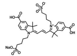 水溶性荧光染料diSulfo-Cy3 bis-carboxylic acid/COOH/羧基羧酸，Ex/Em(nm) 548/562