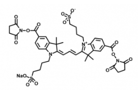 水溶性荧光染料diSulfo-Cy3 bis-NHS ester/琥珀酰亚胺活化酯，二磺酸基Cy3-二活性酯，Ex/Em(nm) 557/575