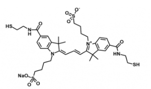 水溶性荧光染料diSulfo-Cy3 bis-Thiol/SH，磺酸基Cy3-二巯基产品参数性质解析