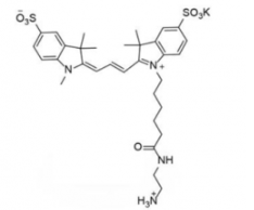 水溶性磺酸基荧光染料diSulfo-Cy3 C2 amine/NH2/氨基，Ex/Em(nm) 552/563