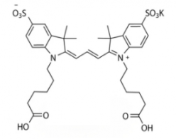 水溶性磺酸基荧光染料diSulfo-Cy3 carboxylic acid/COOH/羧基羧酸(Di)，CAS:146397-17-3