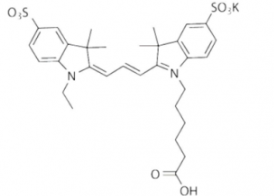 水溶性磺酸基Sulfo-Cy3 carboxylic acid/COOH/羧基羧酸(Ethyl) ，CAS:146368-13-0，Ex/Em(nm) 548/562