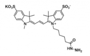 水溶性二磺酸基荧光染料diSulfo-Cy3 hydrazide/N3/叠氮，CAS:2144762-62-7，Ex/Em(nm) 548/563