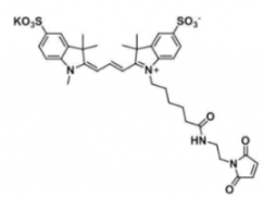 水溶性磺酸基荧光染料diSulfo-Cy3 maleimide/马来酰亚胺，CAS:1656990-68-9溶解度解析