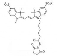 水溶性diSulfo-Cy3 NHS ester/甲基琥珀酰亚胺活化酯 (Methyl)，CAS:1424150-38-8是什么颜色的？