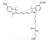 水溶性二磺酸基diSulfo-Cy5 amine/NH2/氨基(Methyl甲基)，Ex/Em(nm) 646/662