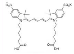 水溶性二磺酸基diSulfo-Cy5 carboxylic acid/COOH/羧基羧酸(Di)，CAS:252255-40-6