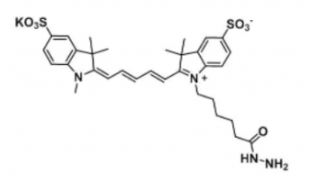 水溶性二磺酸基荧光染料diSulfo-Cy5 hydrazide/N3/叠氮，CAS:2055138-61-7，Ex/Em(nm) 646/662