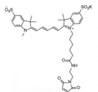 水溶性二磺酸基荧光染料diSulfo-Cy5 maleimide/马来酰亚胺，CAS:2130955-10-9 是什么颜色？