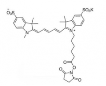 水溶性二磺酸基荧光染料diSulfo-Cy5 NHS ester/琥珀酰亚胺活化酯(Methyl，甲基)，CAS:2230212-27-6;937739-58-7