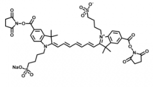 水溶性二磺酸基diSulfo-Cy7 Bis-NHS ester/琥珀酰亚胺活化酯 的溶解性如何，溶于哪些溶剂？