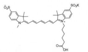 水溶性二磺酸基荧光染料diSulfo-Cy7 carboxylic acid/COOH/羧基羧酸(Methyl甲基)，CAS:1251915-04-4