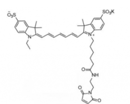 水溶性二磺酸基荧光染料diSulfo-Cy7 maleimide/马来酰亚胺(Ethyl乙基)，CAS:1422279-40-0，溶于water,alcohols, DMSO, DMF