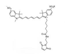 水溶性二磺酸基花菁染料diSulfo-Cy7 maleimide/马来酰亚胺(Methyl甲基)，深绿色固体粉末，Ex/Em(nm) 750/773