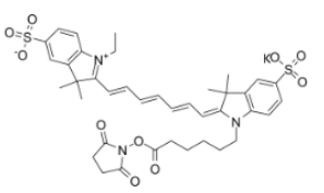 水溶性二磺酸基diSulfo-Cy7 NHS ester/琥珀酰亚胺活化酯(Ethyl乙基)，CAS:477908-53-5，深绿色固体粉末