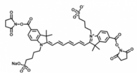 水溶性吲哚菁绿disulfo-ICG Bis-NHS ester/琥珀酰亚胺活化酯(Bis），激发发射波长Ex/Em(nm) 755/787