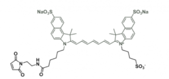 水溶性吲哚菁绿荧光染料diSulfo-ICG maleimide/马来酰亚胺，激发发射波长Ex/Em(nm) 751/830