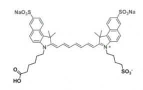 吲哚菁绿荧光染料ICG carboxylic acid/COOH/羧基羧酸，CAS:181934-09-8，Cy7.5 Acid(mono SO3)